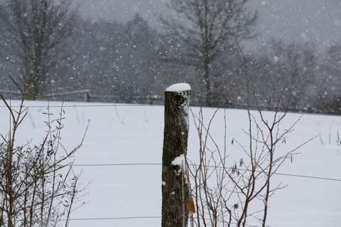 Winterwanderung